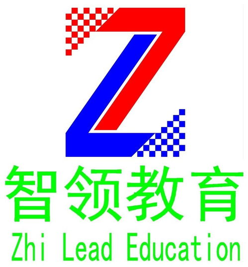 寶雞市智領(lǐng)教育咨詢 專業(yè)賦能，點(diǎn)亮未來